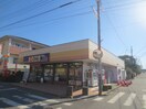 全日食チェーンナガシマストアー(スーパー)まで122m ロワール湘南Ｃ