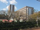 私立日本大学生物資源科学部(大学/短大/専門学校)まで739m ロワール湘南Ｃ
