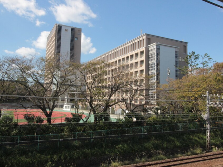 私立日本大学生物資源科学部(大学/短大/専門学校)まで739m ロワール湘南Ｃ