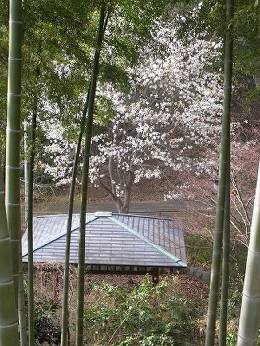 三王山公園(公園)まで208m est porte