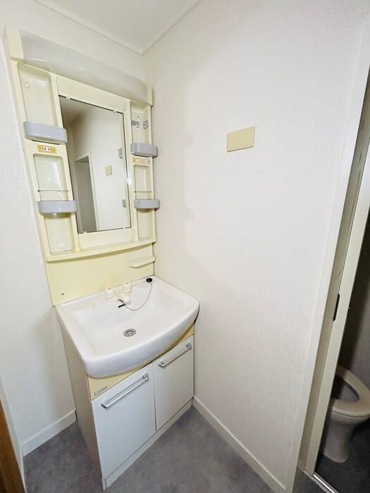 洗面 ﾗｲｵﾝｽﾞﾏﾝｼｮﾝ青葉台(514)