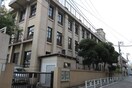 広尾小学校(小学校)まで950m JP noie 恵比寿西