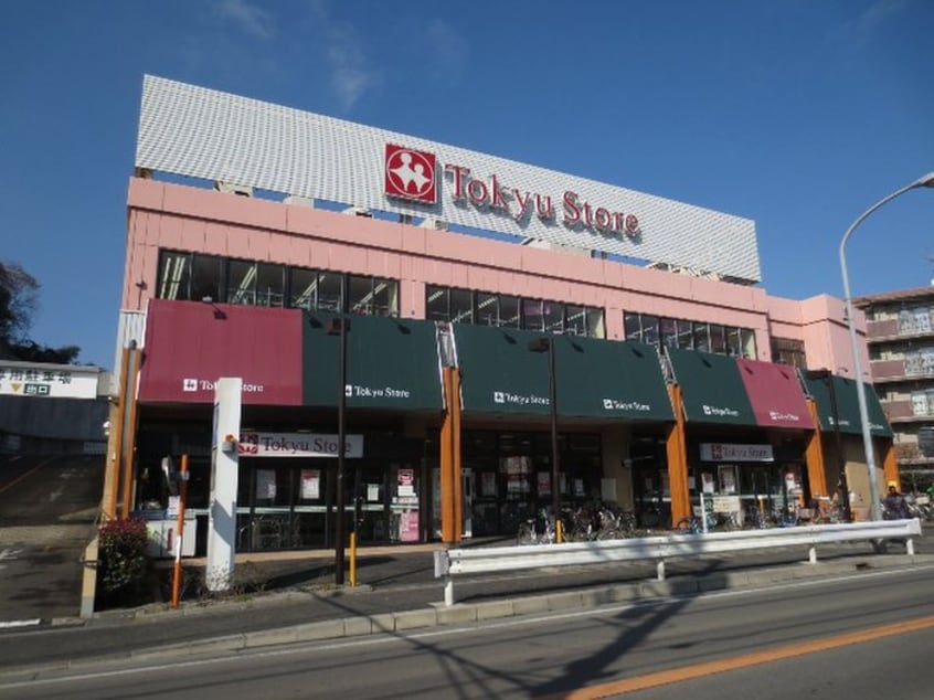 東急ストア(スーパー)まで407m ハイツカメリア