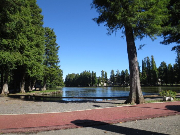 別所沼公園(公園)まで180m ロイヤルヒルズ中浦和