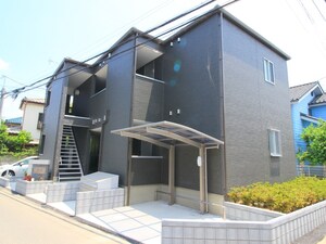 ゼニス