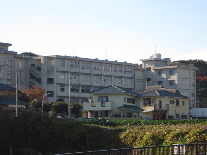 神奈川県立津久井浜高校(高等学校/高等専門学校)まで180m コーポミキ