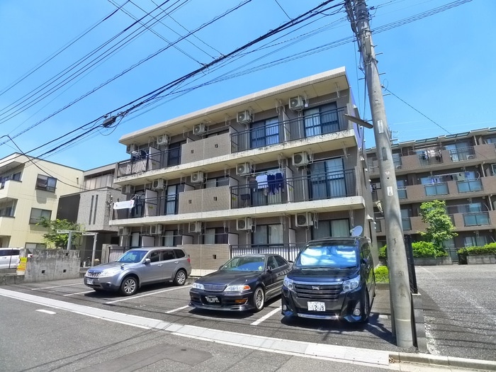 その他 セリバテール