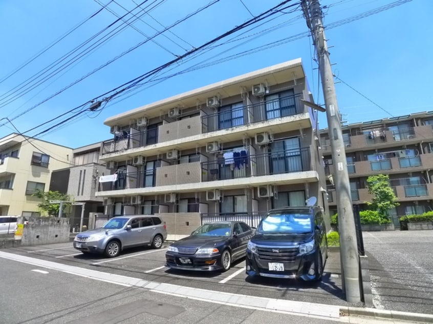 その他 セリバテール
