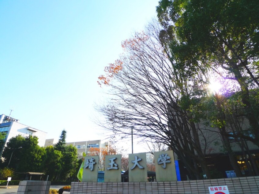 埼玉大学(大学/短大/専門学校)まで900m ｸﾞﾗﾝ･ﾄﾞﾑｰﾙ浦和栄和（205）