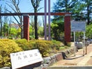 馬橋公園(公園)まで498m プルミエ－ル高円寺