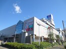 湘南 とうきゅう(ショッピングセンター/アウトレットモール)まで484m ラフォ－レ湘南　Ｄ