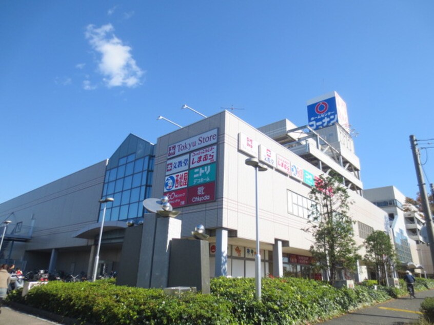 湘南 とうきゅう(ショッピングセンター/アウトレットモール)まで484m ラフォ－レ湘南　Ｄ