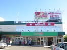 スーパー生鮮館TAIGA 藤沢石川店(スーパー)まで785m ラフォ－レ湘南　Ｄ
