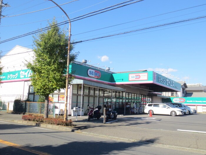 ドラッグセイムス 藤沢遠藤店(ドラッグストア)まで551m ラフォ－レ湘南　Ｄ