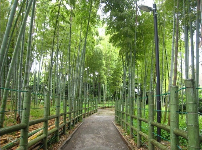 すずめのお宿緑地公園(公園)まで640m 第二広幸ハウス