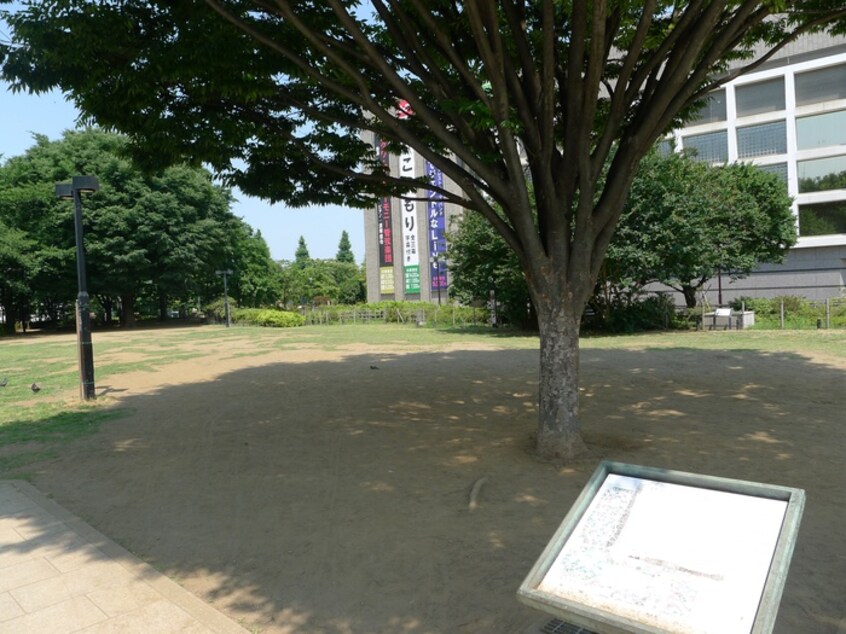 つつじ公園(公園)まで147m サンビ－ム練馬マンション