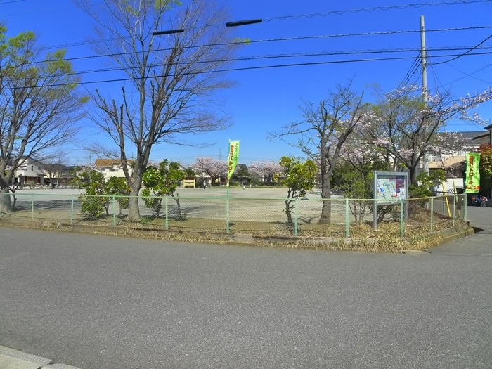 その他 プロスペールＥ・ＮＯ．１１