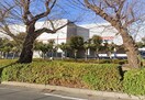 コストコホール(ショッピングセンター/アウトレットモール)まで1065m グリーンカーサさがみ野