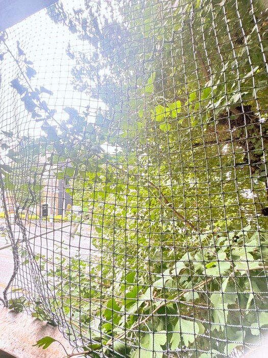 室内からの展望 丸双ビル