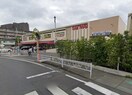 三和 上鶴間店(スーパー)まで207m プランド－ルＳ