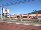 フレサ(スーパー)まで265m ハイムロ－ザⅠ