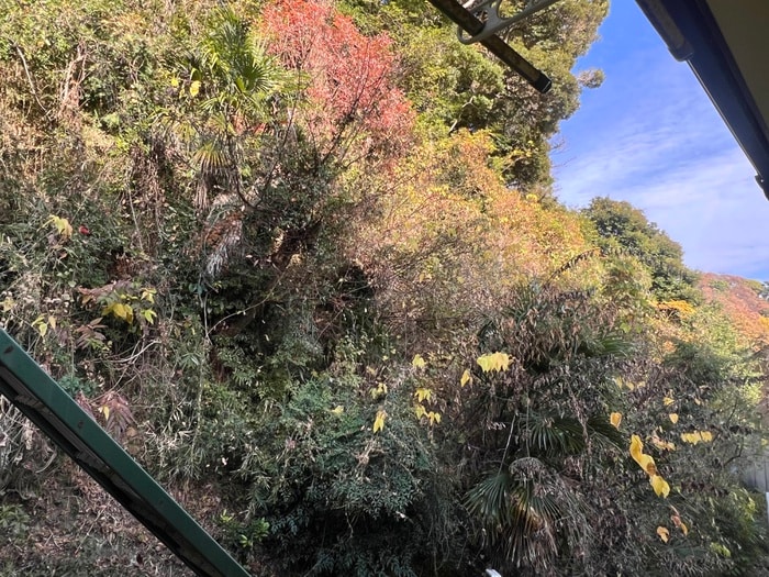 室内からの展望 サンクレスタ山の根