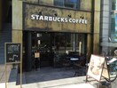 スターバックスコーヒー 表参道 神宮前4丁目店(カフェ)まで650m 神宮前マンション
