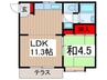 ジュネス秋津 1LDKの間取り