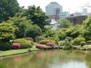 小石川植物園(公園)まで23m LEXE文京白山（404）