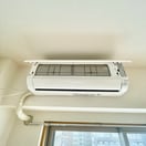 内観写真 キングスパレス