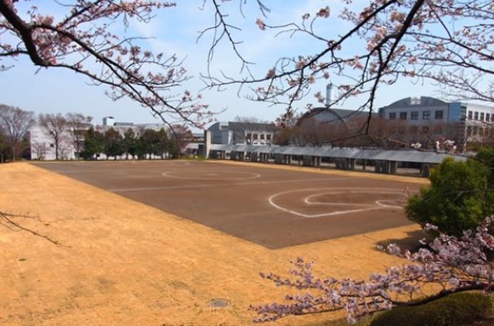 大妻女子大学 多摩キャンパス(大学/短大/専門学校)まで1400m グレイス・カルム