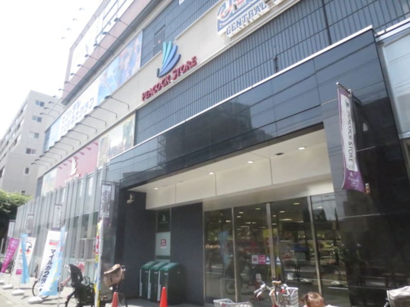 ピ－コック(スーパー)まで555m パﾚジュトー