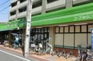 コープみらい 日野駅前店(スーパー)まで800m ピアシティー