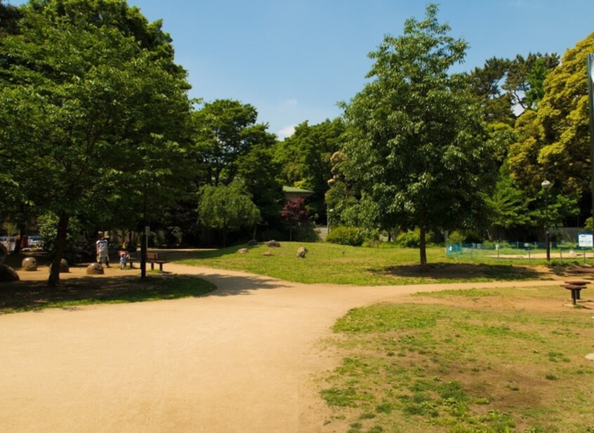 白金台どんぐり児童遊園(公園)まで60m ラ・レジダンス・ド・白金台