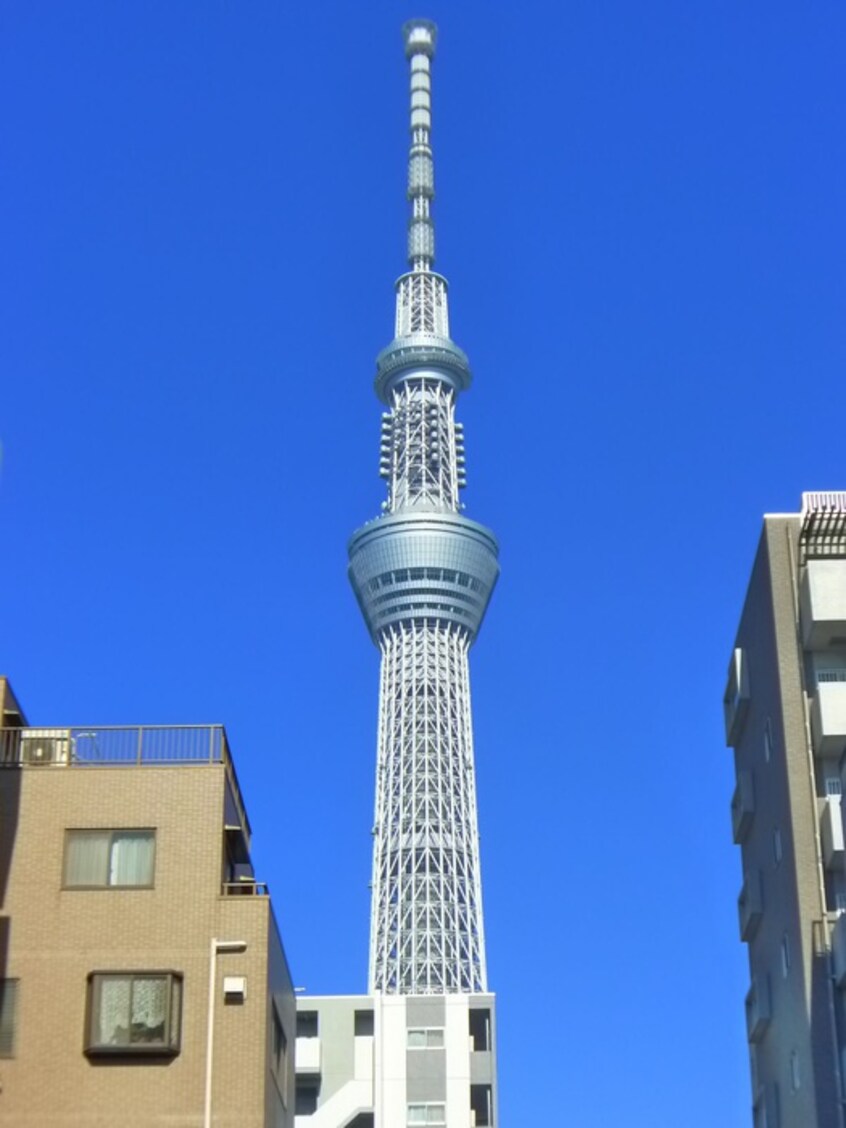 東京スカイツリー(公園)まで2500m JUTOWERFRONT両国