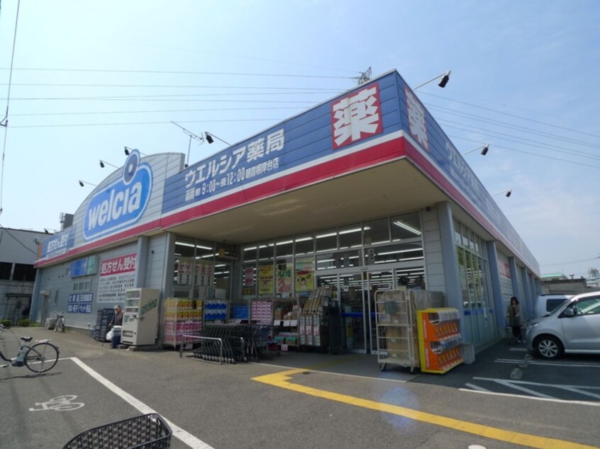 ウェルシア朝霞根岸台店(ドラッグストア)まで289m 仲町戸建