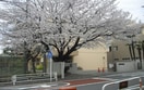 藤沢市立大庭小学校(小学校)まで400m ソレイユ湘南Ⅵ