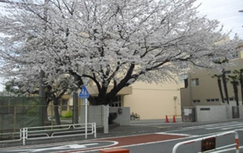 藤沢市立大庭小学校(小学校)まで400m ソレイユ湘南Ⅵ