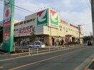 ヨークマート東村山店(スーパー)まで371m パブリック