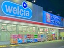 ウエルシア(ドラッグストア)まで794m エクレールB