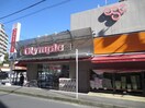 ホームセンター(電気量販店/ホームセンター)まで230m プロスペクト中央林間
