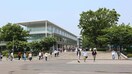 芝浦工業大学　大宮キャンパス(大学/短大/専門学校)まで500m ストリームエイト