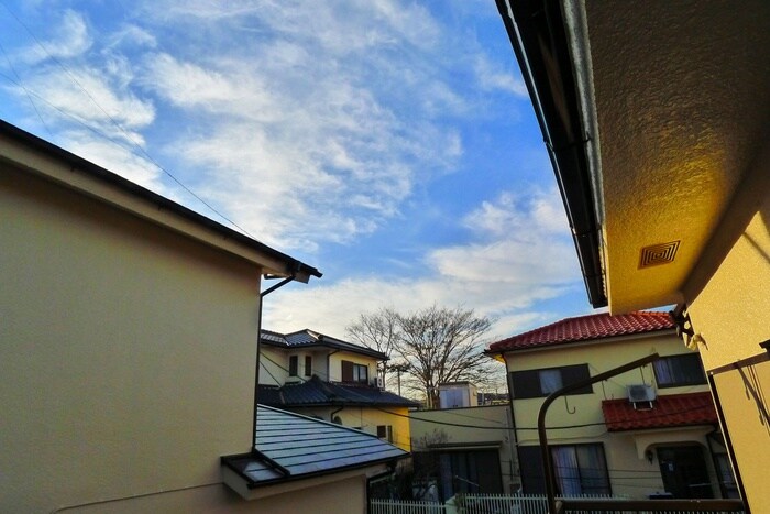 室内からの展望 根戸貸家