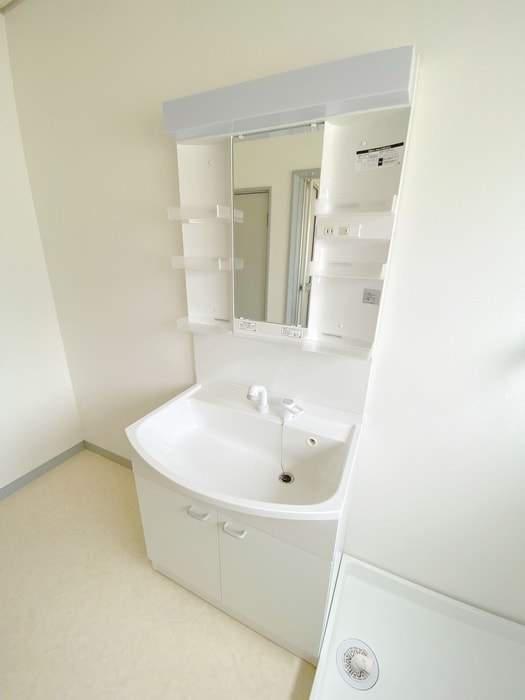 洗面 ハイツ園部