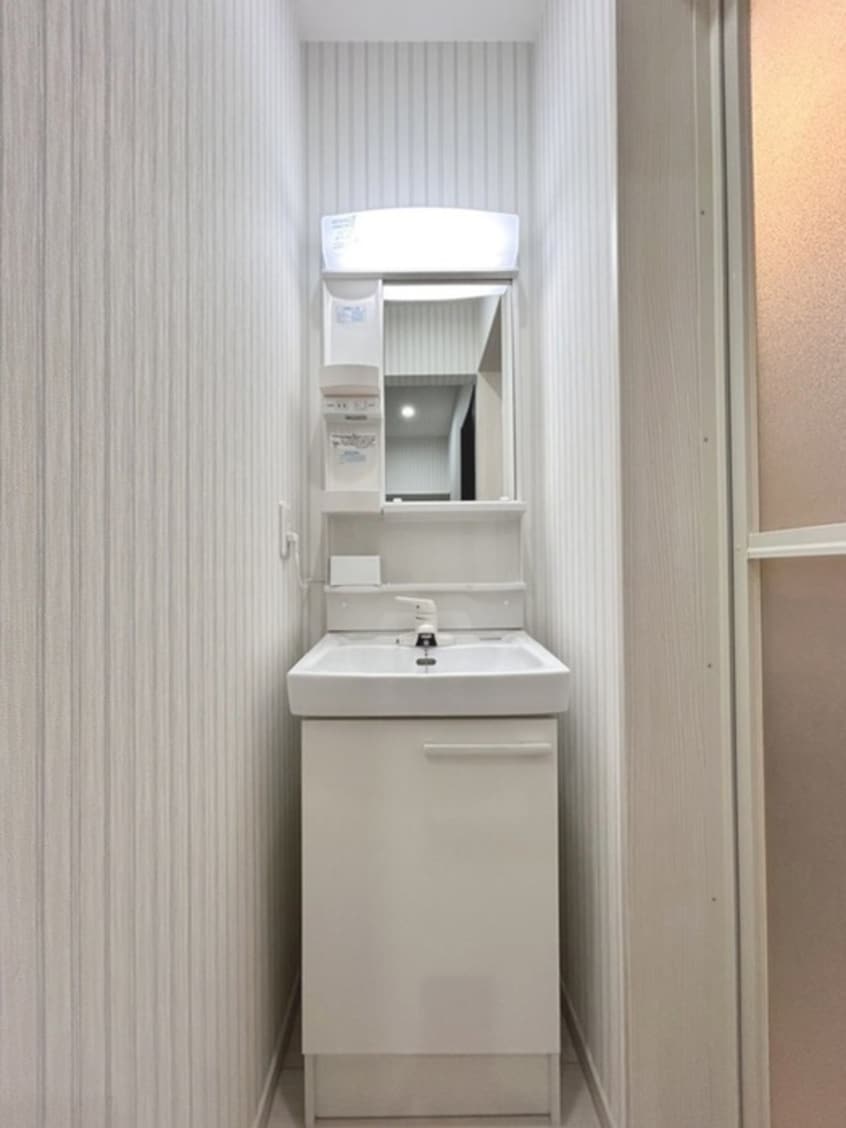 洗面 メゾン・ド・ルミエール国府台