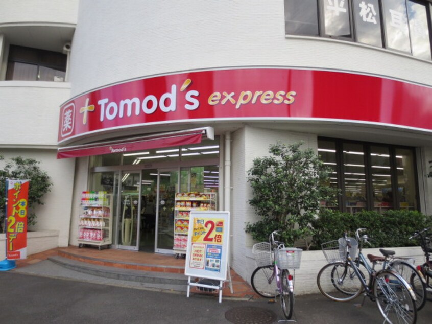 Tomods(ドラッグストア)まで214m ラテンドレス