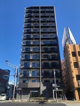 KNOTS大山（1002）