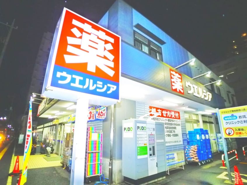 ウェルシア(ドラッグストア)まで115m いぬいマンション