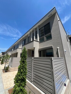 Ｏｌｉｖｅ　Ｔｅｒｒａｃｅ