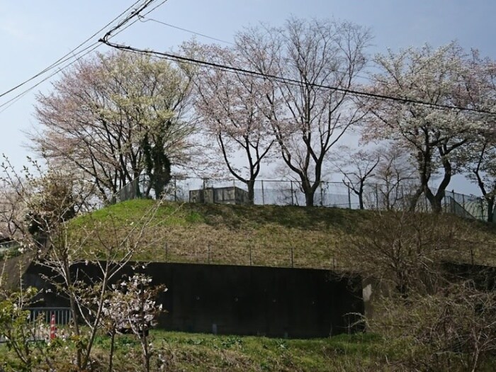 八王子市城山小学校(小学校)まで500m 山根ｱﾊﾟｰﾄ